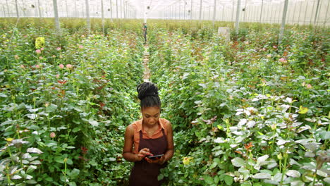 African-American-Florist-Walking-with-Tablet-and-Checking-Roses-in-Greenhouse